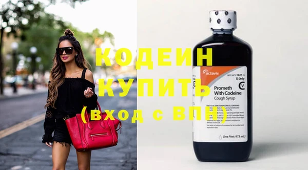 индика Баксан