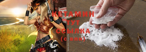 индика Баксан