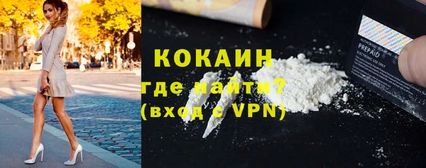 индика Баксан